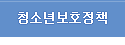청소년보호정책